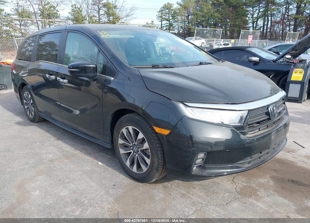 2024 HONDA ODYSSEY EX-L VIN: 5FNRL6H65RB018907