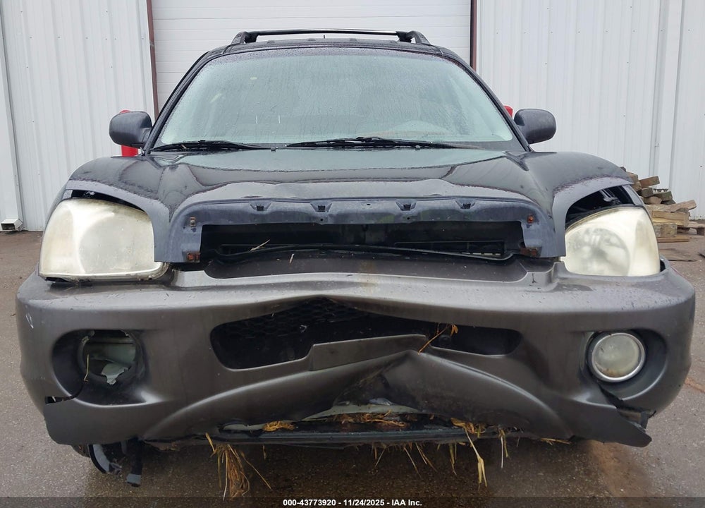 2006 HYUNDAI SANTA FE GLS VIN: KM8SC13D36U046410