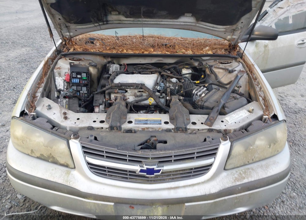 2004 CHEVROLET IMPALA VIN: 2G1WF52E349401674
