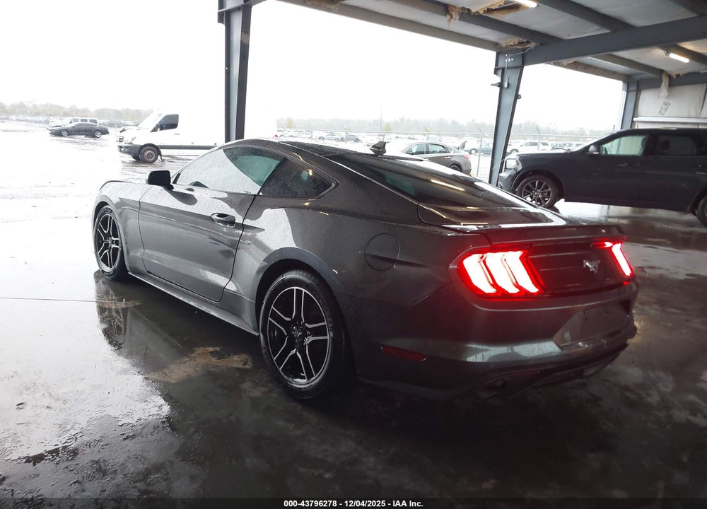 2020 FORD MUSTANG ECOBOOST FASTBACK VIN: 1FA6P8TH3L5183736