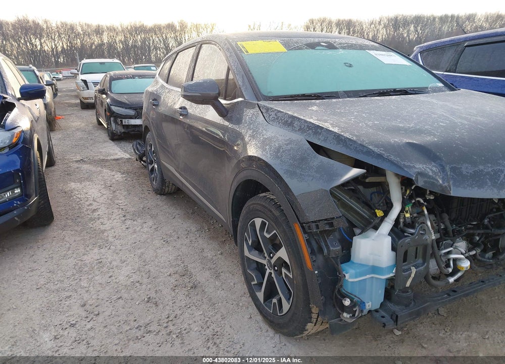 2023 KIA SPORTAGE EX VIN: 5XYK33AF8PG058656