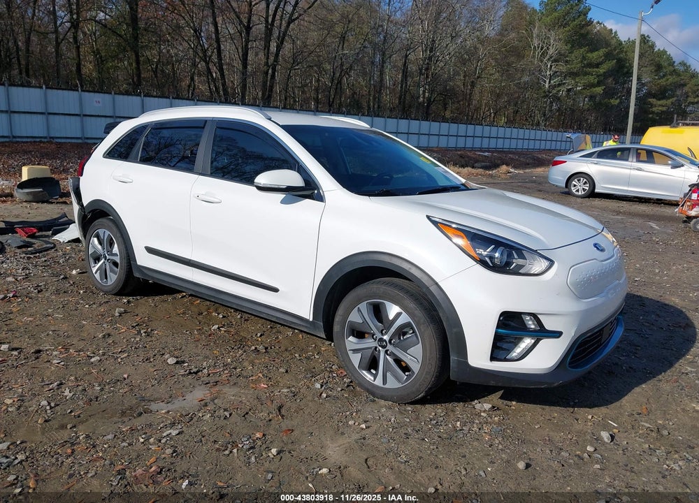 2020 KIA NIRO EV EX VIN: KNDCC3LG6L5061181