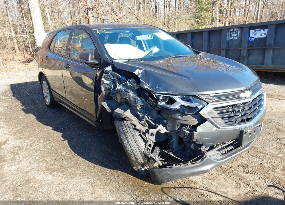 2019 CHEVROLET EQUINOX LS VIN: 2GNAXHEV6K6148853