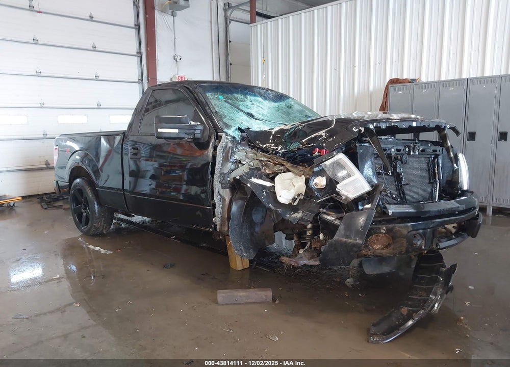 2011 FORD F-150 STX VIN: 1FTMF1CM9BKD00289