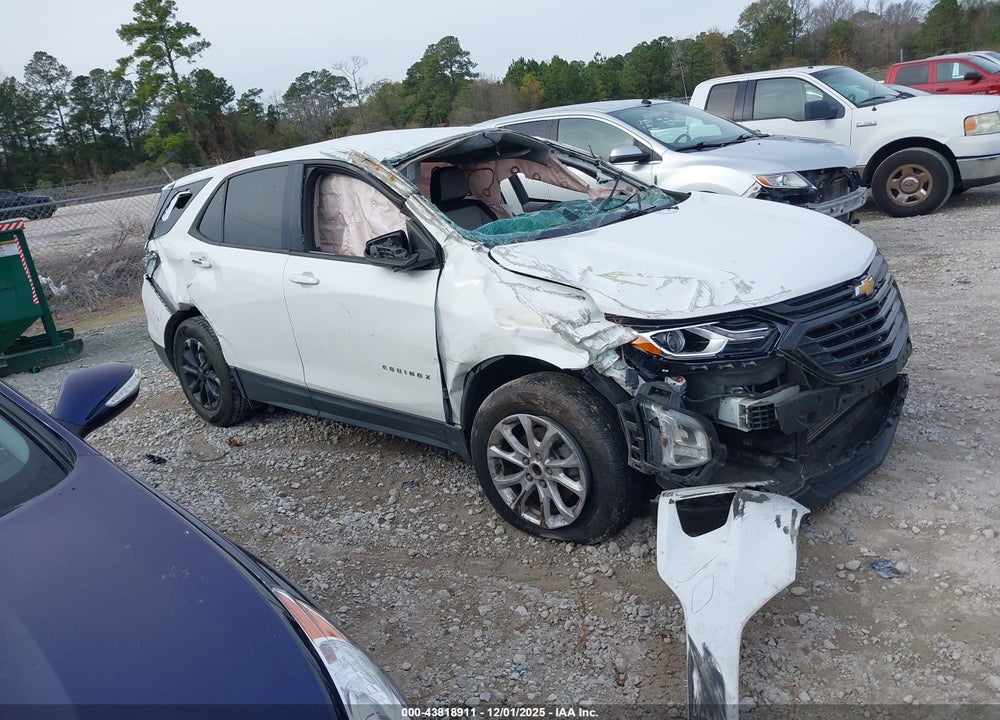 2019 CHEVROLET EQUINOX LS VIN: 3GNAXHEV2KS602842
