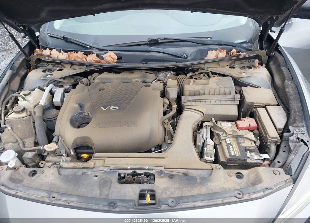 2019 NISSAN MAXIMA 3.5 SL VIN: 1N4AA6AV3KC368971