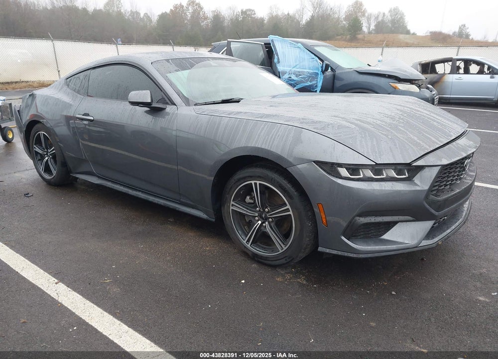 2024 FORD MUSTANG ECOBOOST FASTBACK VIN: 1FA6P8TH5R5107136