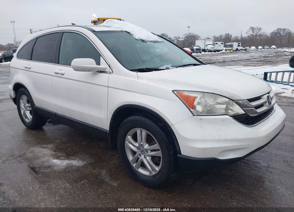 2010 HONDA CR-V EX-L VIN: 5J6RE4H78AL053265