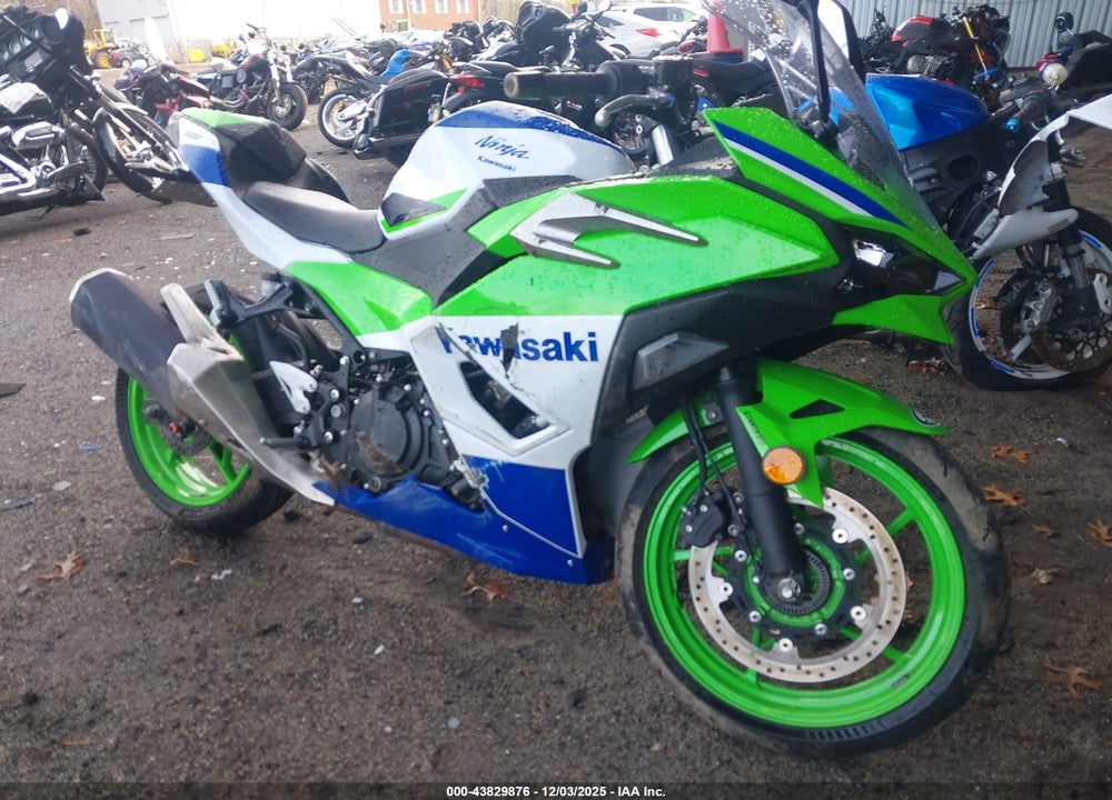 2024 KAWASAKI EX500 A/B VIN: ML5EXGJ19RDA19375