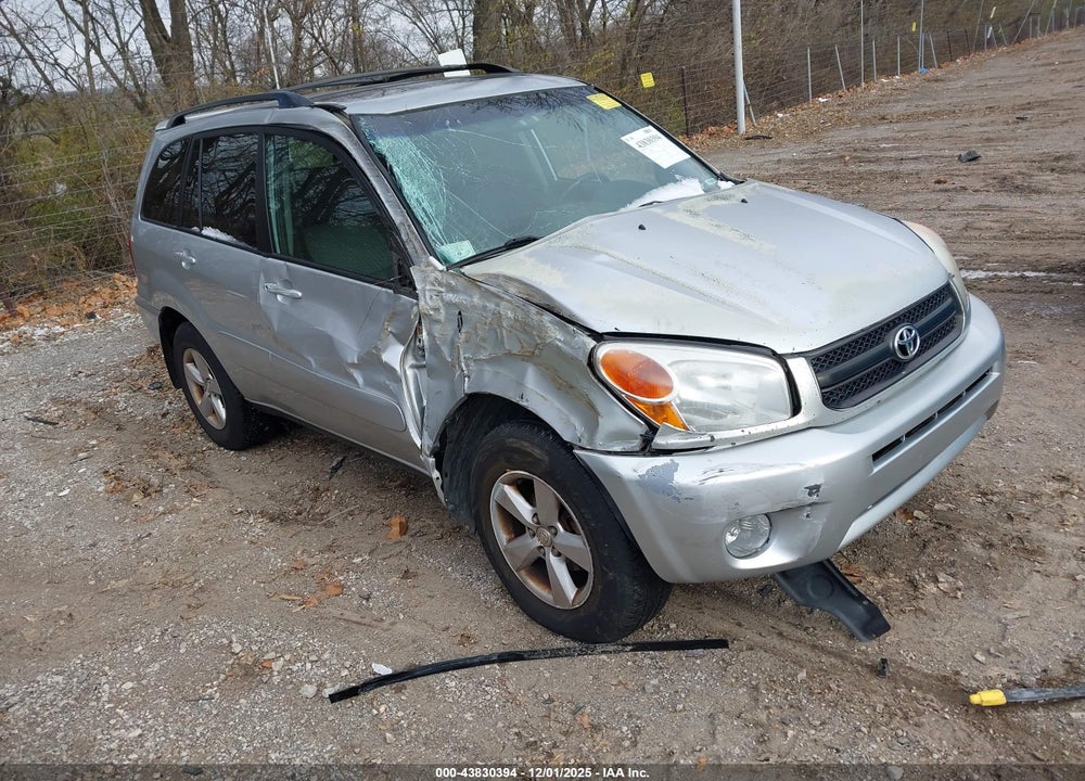 2004 TOYOTA RAV4 VIN: JTEGD20V640010107