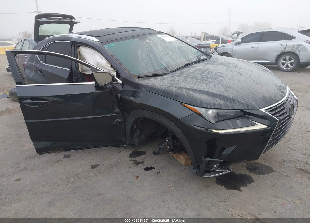 2020 LEXUS NX 300 VIN: JTJGARDZ6L2224839