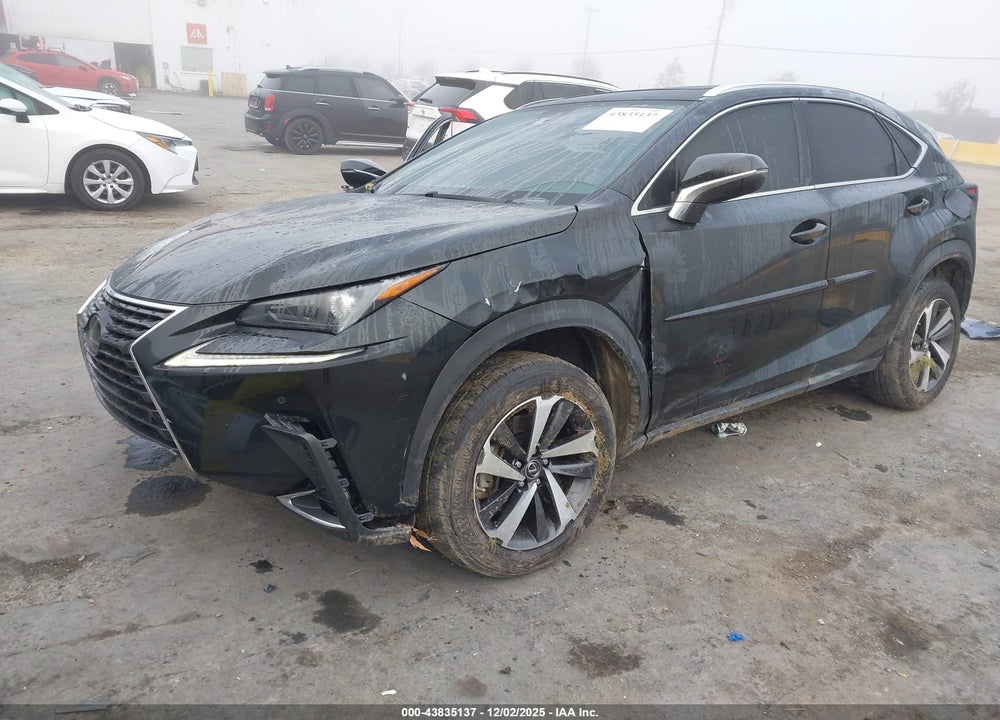 2020 LEXUS NX 300 VIN: JTJGARDZ6L2224839