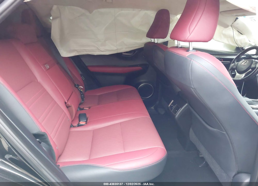 2020 LEXUS NX 300 VIN: JTJGARDZ6L2224839