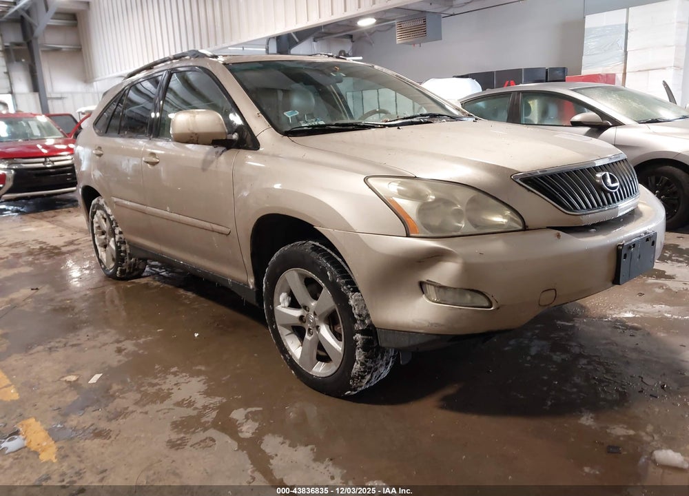 2004 LEXUS RX 330 VIN: JTJGA31U040011419