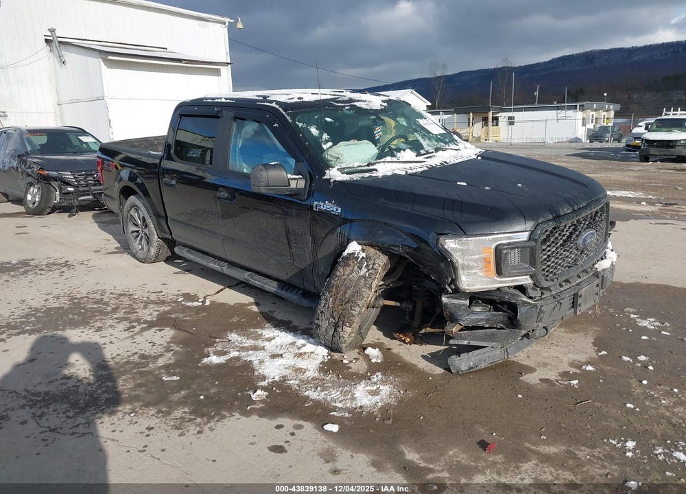 2019 FORD F-150 XL VIN: 1FTEW1E59KFD17323