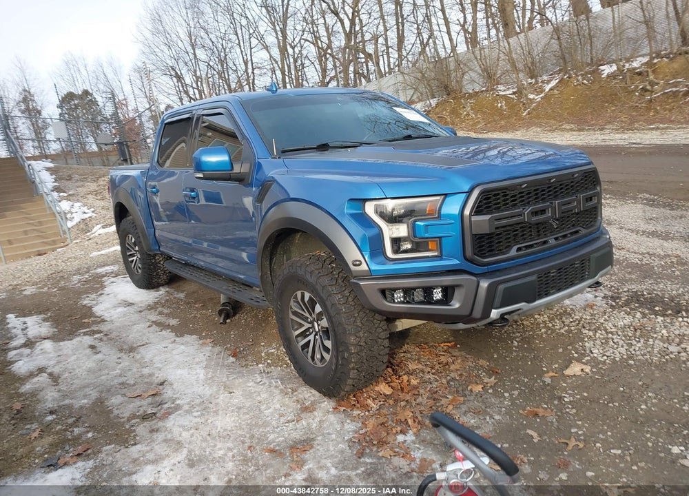 2019 FORD F-150 RAPTOR VIN: 1FTFW1RG6KFB26099