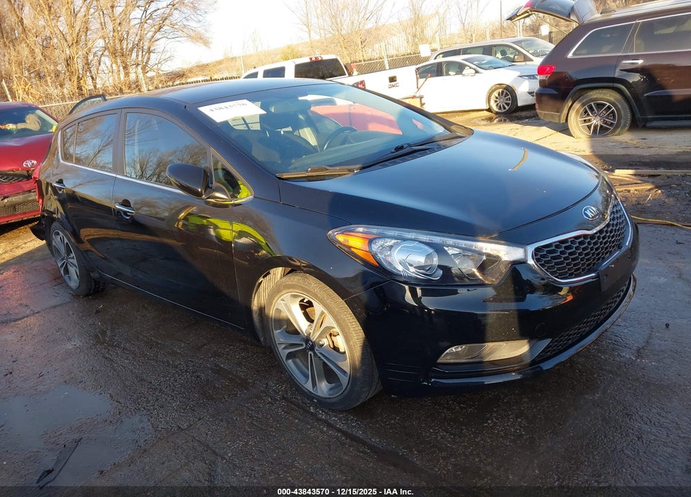 2016 KIA FORTE EX VIN: KNAFX5A86G5490543