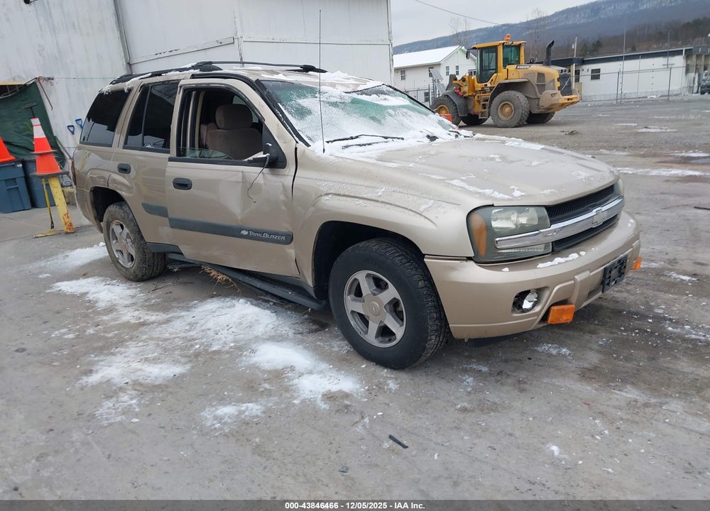 2004 CHEVROLET TRAILBLAZER LS VIN: 1GNDS13S142172344