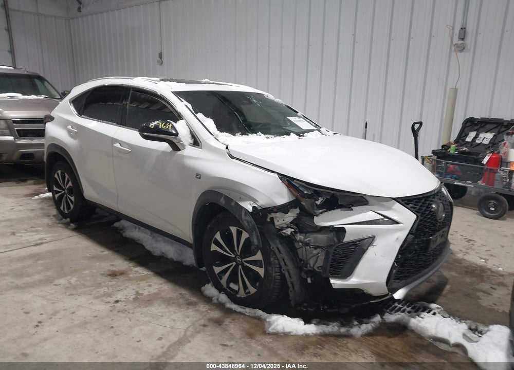 2020 LEXUS NX 300 F SPORT VIN: JTJSARDZ4L5011414