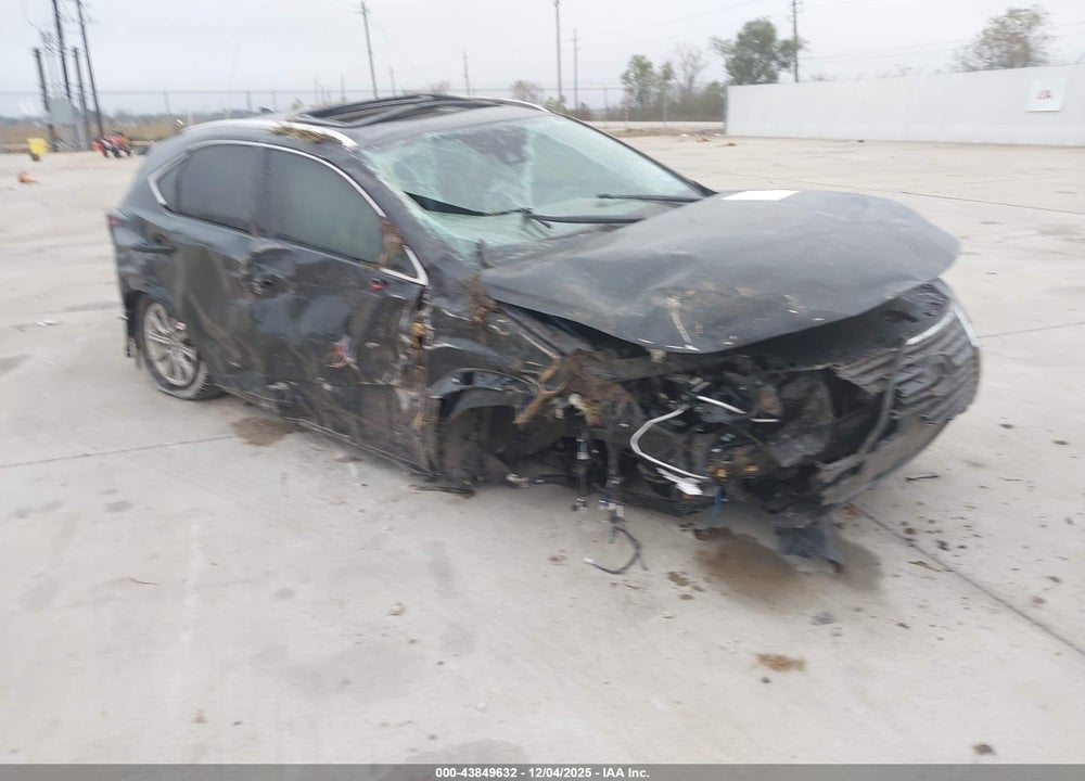 2020 LEXUS NX 300 VIN: JTJDARBZ4L5019346