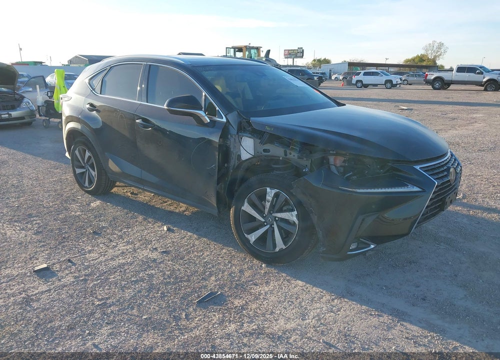 2019 LEXUS NX 300 VIN: JTJBARBZ0K2203268