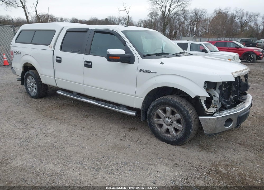 2013 FORD F-150 XLT VIN: 1FTFW1EF3DFC86067