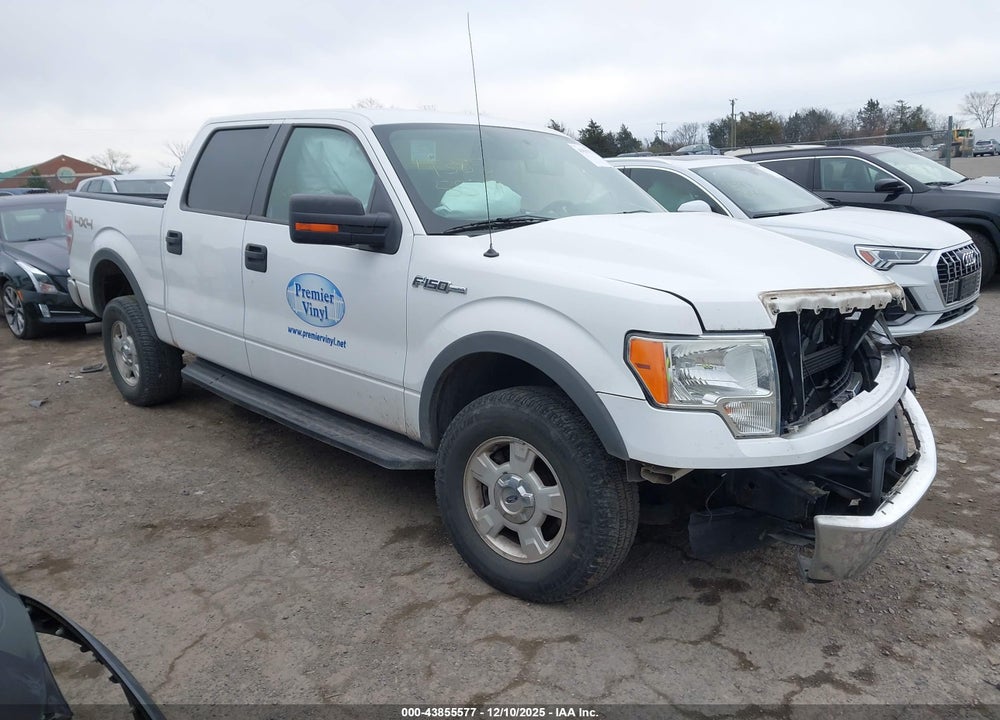 2013 FORD F-150 XLT VIN: 1FTFW1EF5DKE24649