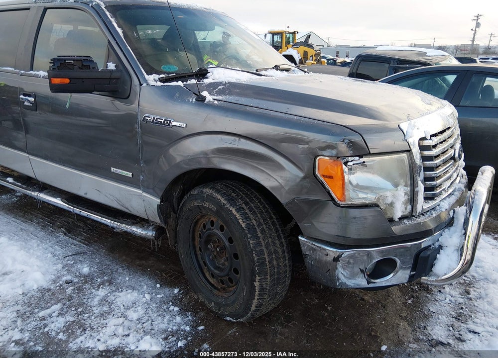 2011 FORD F-150 XLT VIN: 1FTFW1ET1BFB80266