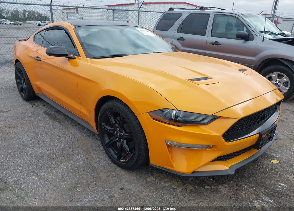2019 FORD MUSTANG ECOBOOST VIN: 1FA6P8TH3K5147740