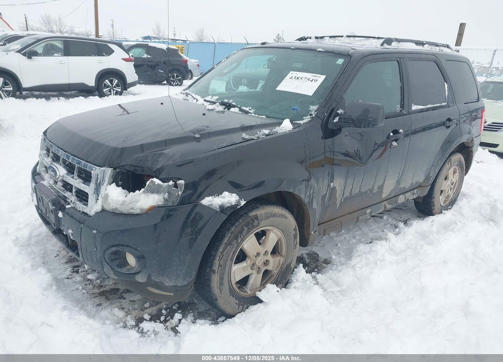 2011 FORD ESCAPE XLT VIN: 1FMCU9D79BKA85520
