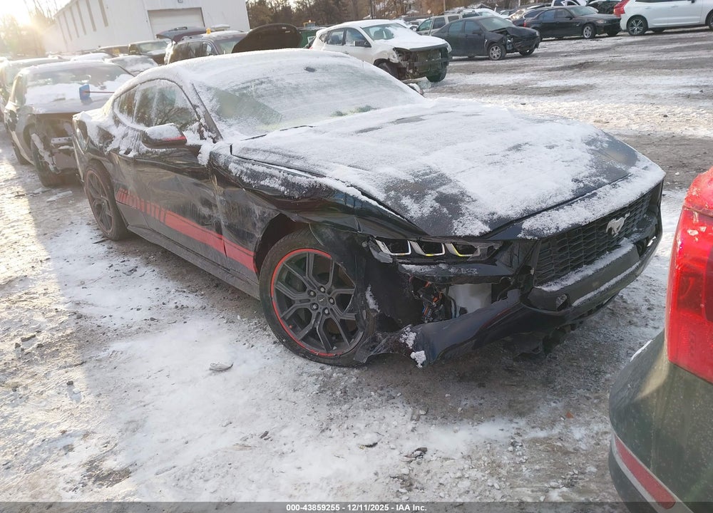 2024 FORD MUSTANG ECOBOOST FASTBACK VIN: 1FA6P8TH2R5102802