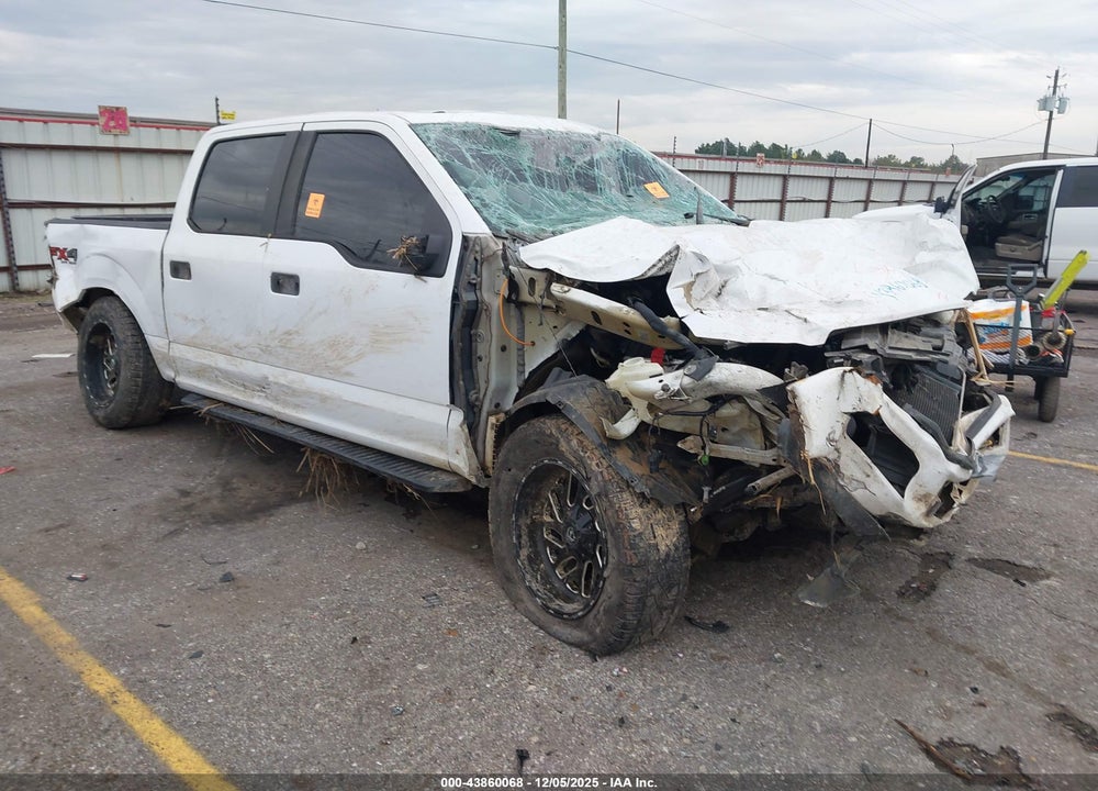 2019 FORD F-150 XL VIN: 1FTEW1E57KKC11699