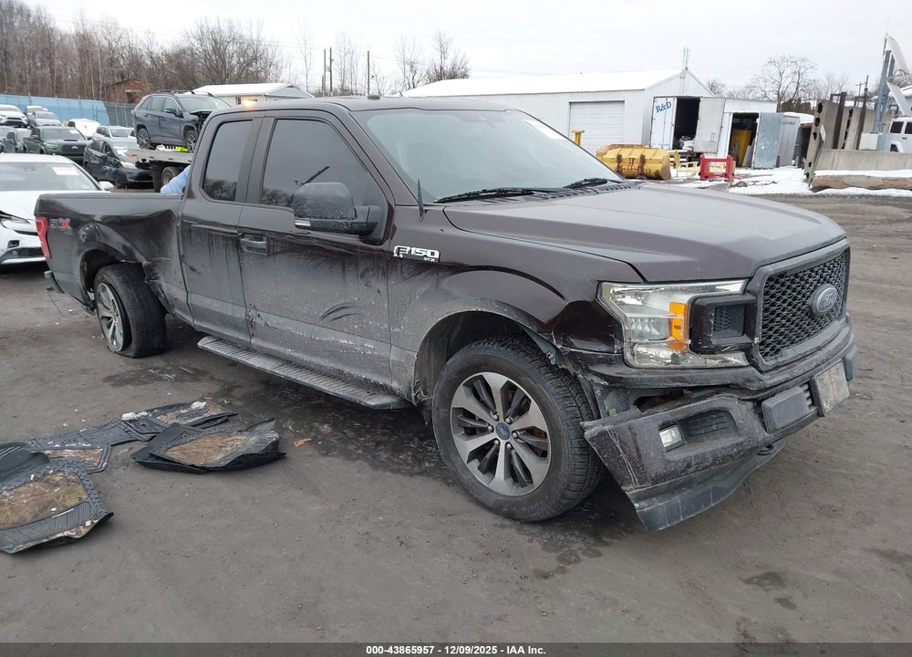 2019 FORD F-150 XL VIN: 1FTFX1E53KKE55531