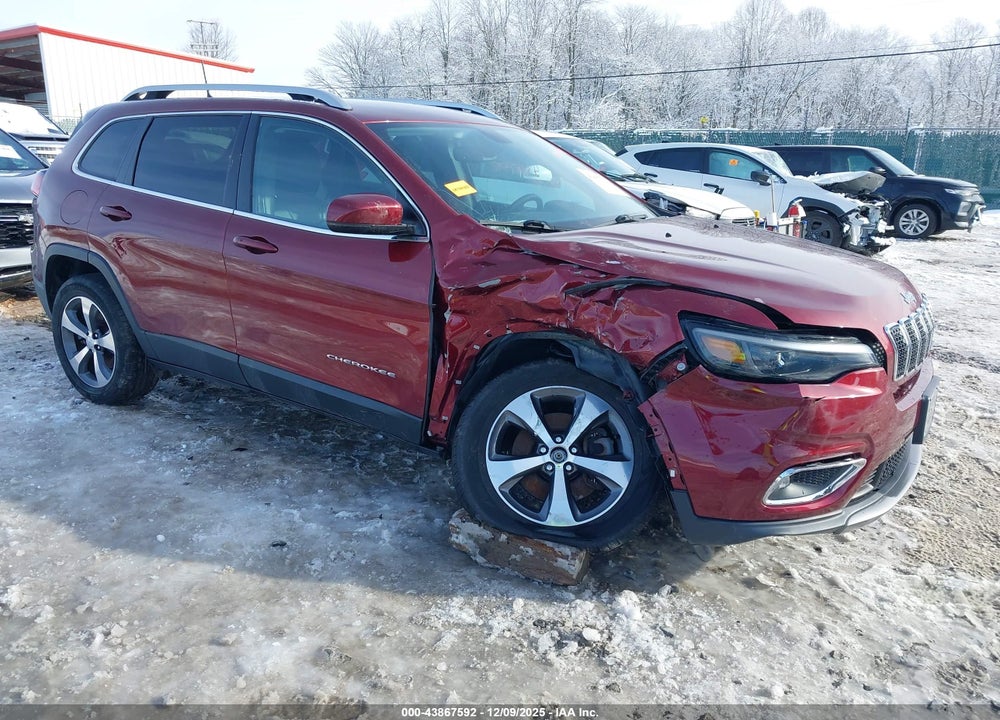 2019 JEEP CHEROKEE LIMITED 4X4 VIN: 1C4PJMDX0KD256662