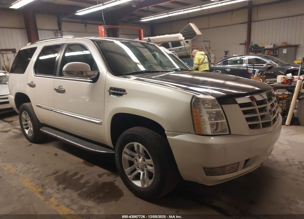 2010 CADILLAC ESCALADE LUXURY VIN: 1GYUKBEF3AR181607