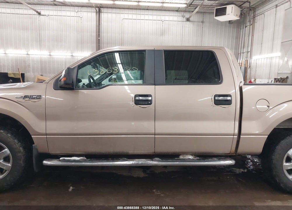 2013 FORD F-150 XLT VIN: 1FTFW1ET8DKG10353