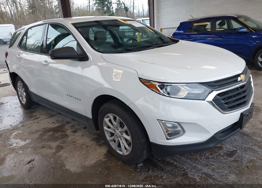 2019 CHEVROLET EQUINOX LS VIN: 2GNAXHEV4K6200383