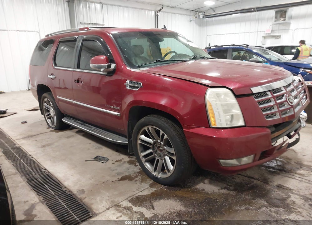 2010 CADILLAC ESCALADE STANDARD VIN: 1GYUKAEF8AR101759