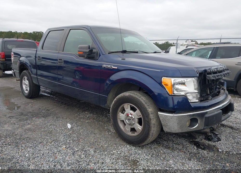 2009 FORD F-150 XL/XLT VIN: 1FTRW12829FA14040