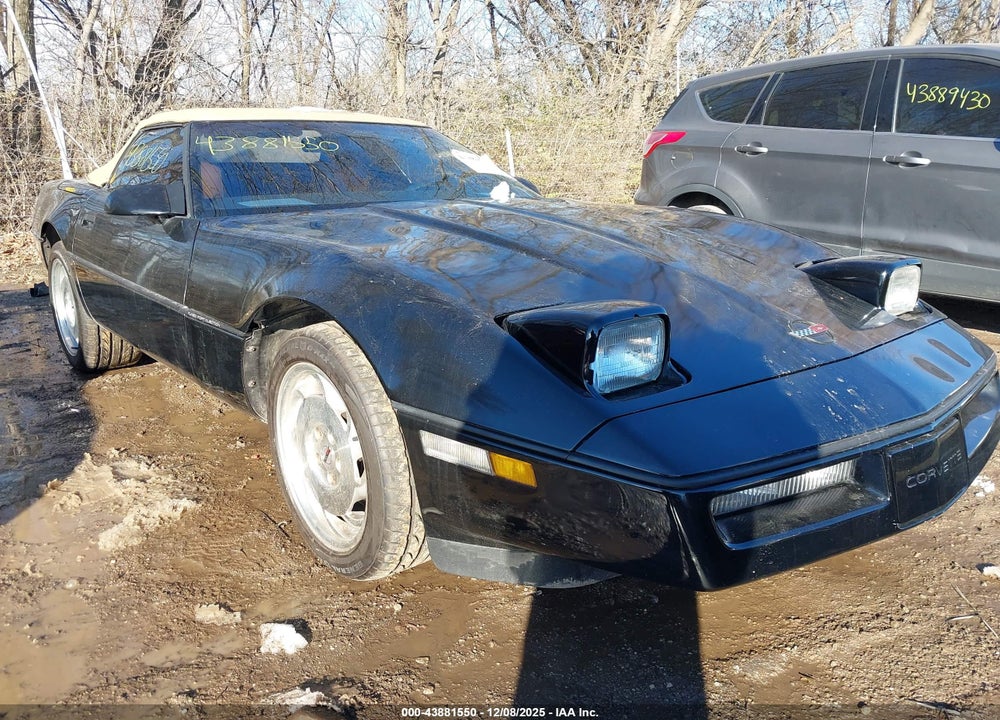 1989 CHEVROLET CORVETTE VIN: 1G1YY3180K5113320