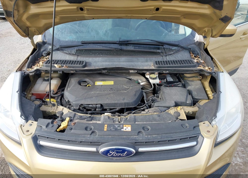 2014 FORD ESCAPE SE VIN: 1FMCU0GX8EUD15144