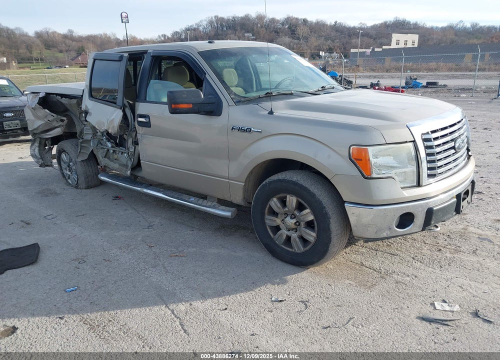2010 FORD F-150 XLT VIN: 1FTFW1EV2AFC62345