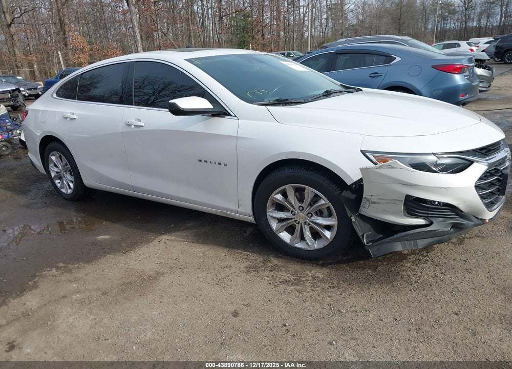 2019 CHEVROLET MALIBU LT VIN: 1G1ZD5ST7KF157534