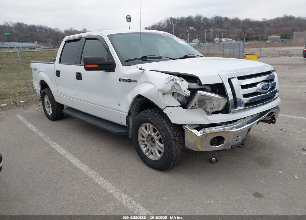 2011 FORD F-150 XLT VIN: 1FTFW1EF7BKD06275