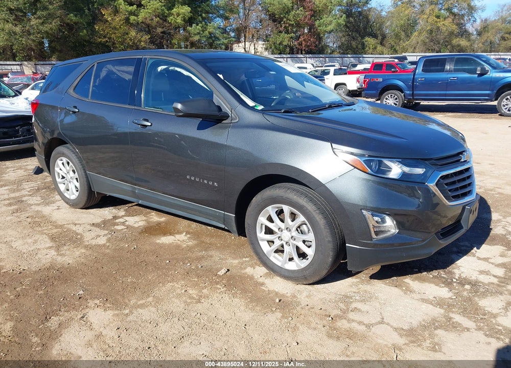 2019 CHEVROLET EQUINOX LS VIN: 2GNAXHEVXK6117668