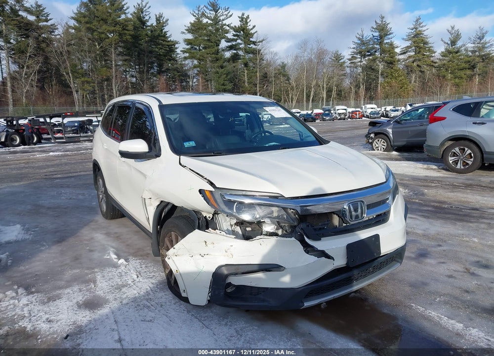 2019 HONDA PILOT EX-L VIN: 5FNYF6H53KB081892