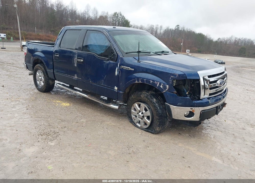 2013 FORD F-150 XLT VIN: 1FTFW1EF7DKE27827