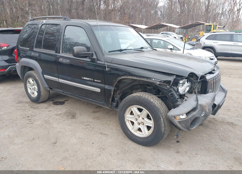 2003 JEEP LIBERTY SPORT VIN: 1J4GL48K13W515975