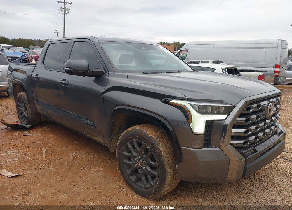 2023 TOYOTA TUNDRA PLATINUM VIN: 5TFNA5DB0PX114433