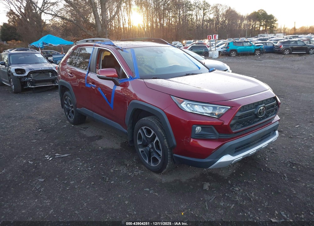 2019 TOYOTA RAV4 ADVENTURE VIN: 2T3J1RFV4KW029749